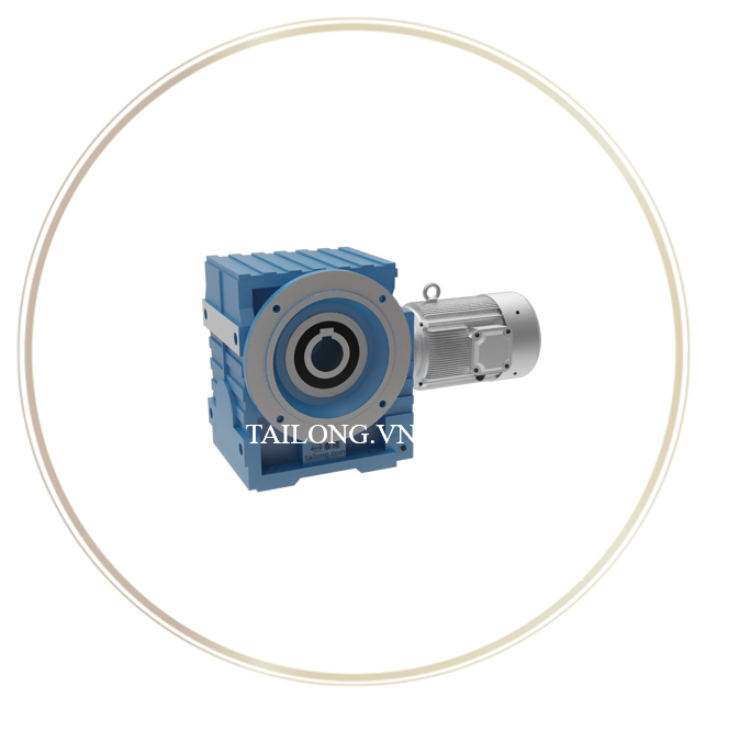 Bộ bánh răng xoắn ốc-trục vít SD05